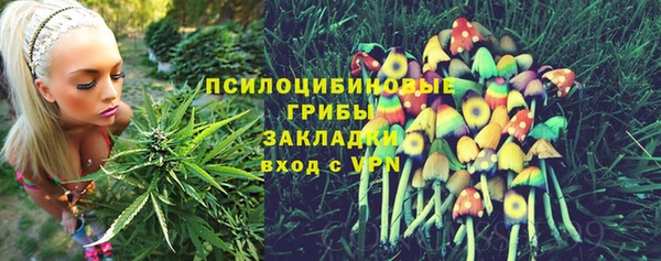 ПСИЛОЦИБИНОВЫЕ ГРИБЫ Абдулино