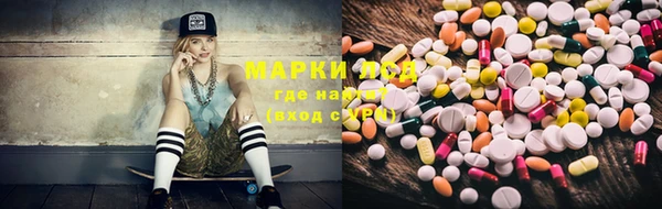 ПСИЛОЦИБИНОВЫЕ ГРИБЫ Абдулино