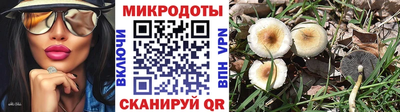 как найти закладки  Суоярви  Галлюциногенные грибы Psilocybe 